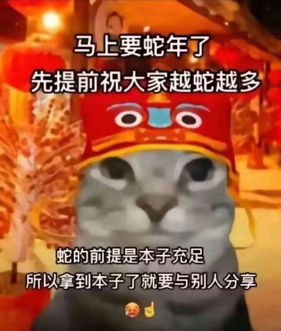 2024年终(至12月31日)评测综合排名!又是冲昏过去的一年,寒假撸管助手终极推荐!