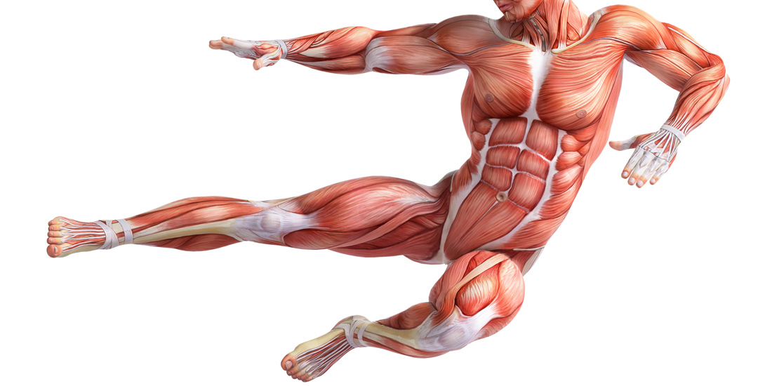 GOSE——“懒小鬼”评测！将各个方面的优化融合成了一体，各方面都相当完善的腿模