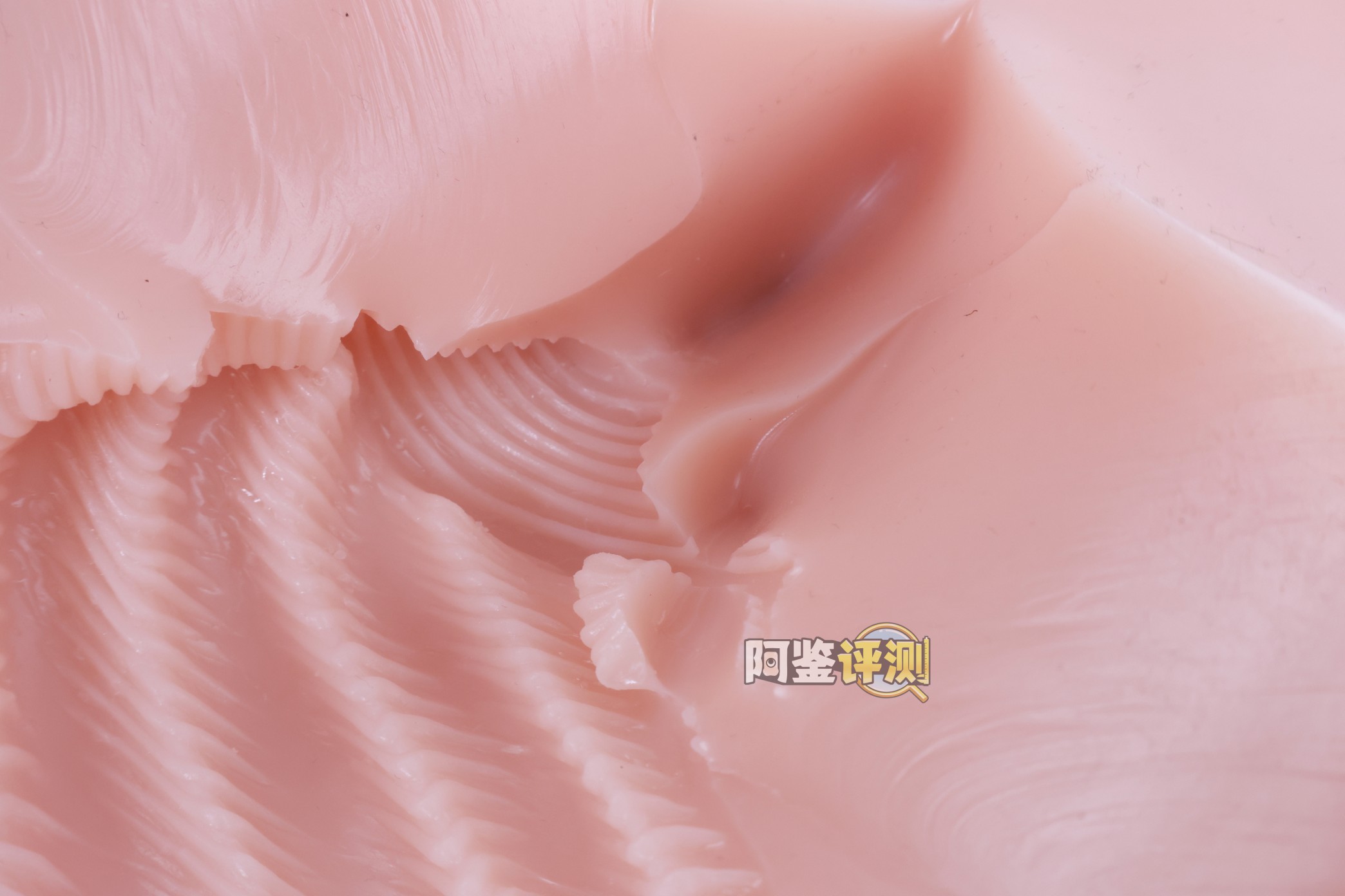 对子哈特——“唯樱璃”评测！再次更换材料的6kg性价比款臀模，非常“平均”的常规PP