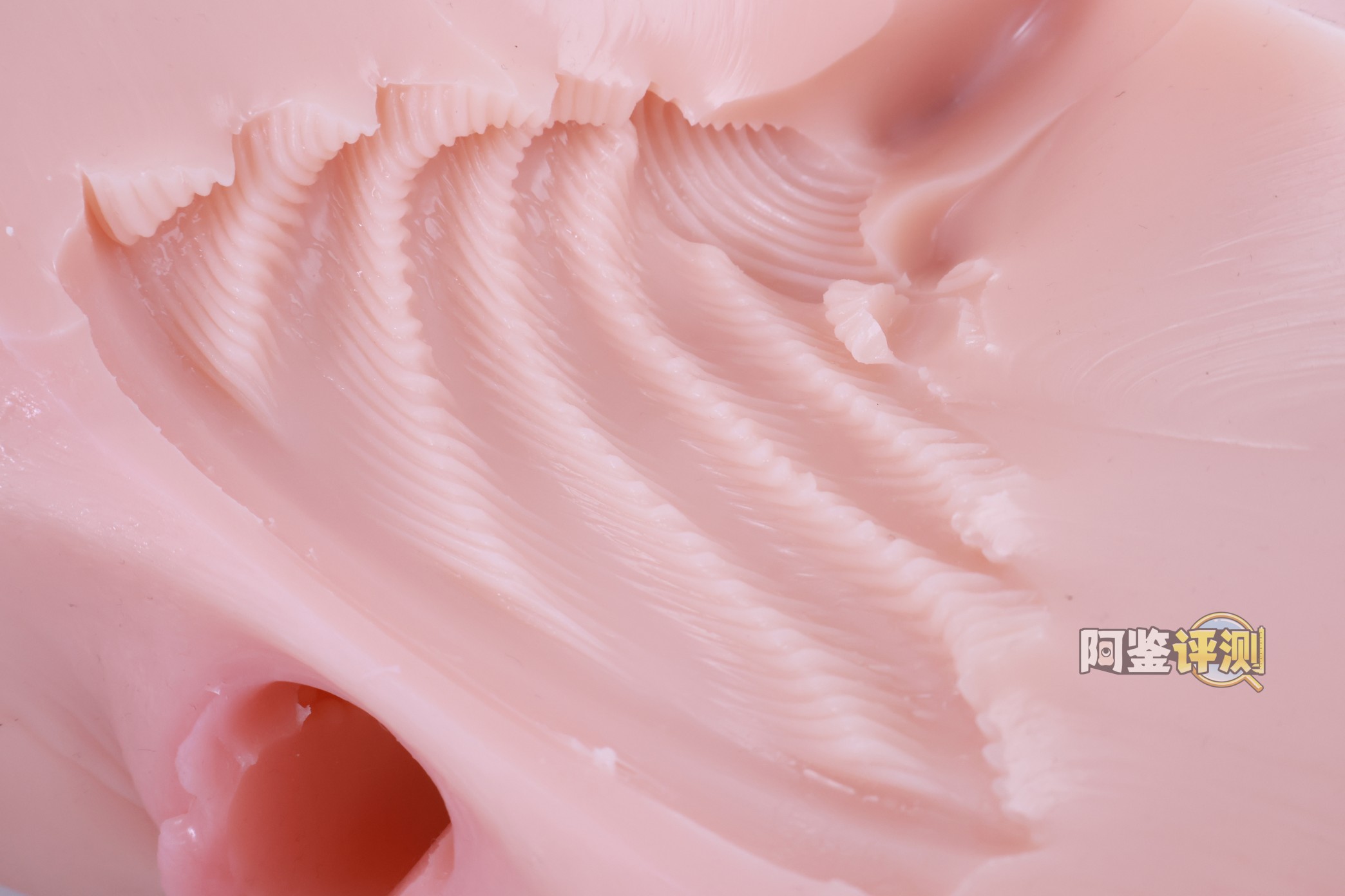 对子哈特——“唯樱璃”评测！再次更换材料的6kg性价比款臀模，非常“平均”的常规PP