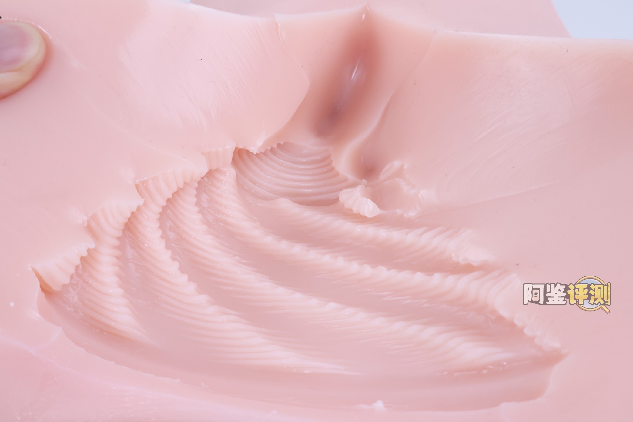 对子哈特——“唯樱璃”评测！再次更换材料的6kg性价比款臀模，非常“平均”的常规PP