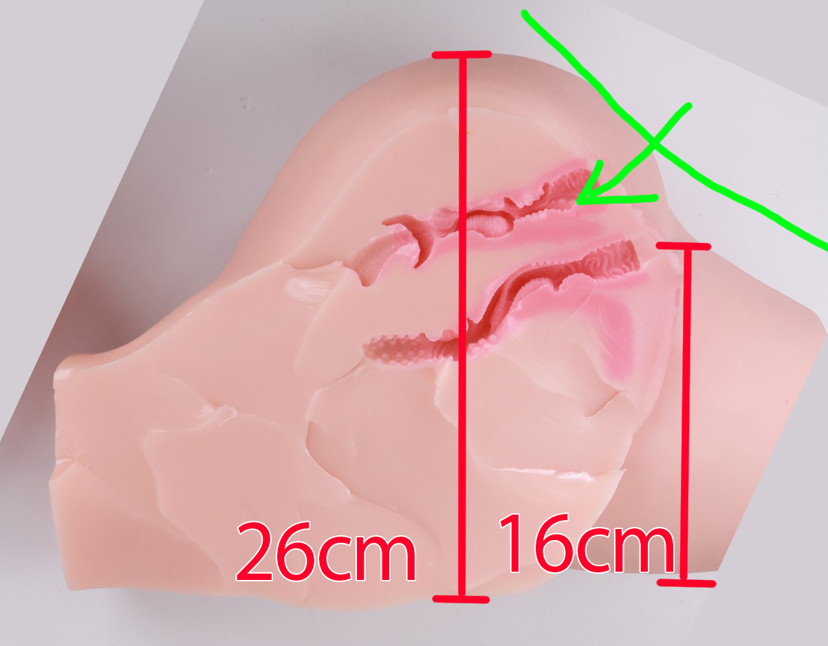 傲川——“臀娘”评测!专精趴式后入的超级大肉臀,床置“开大车”感觉的极致体现!