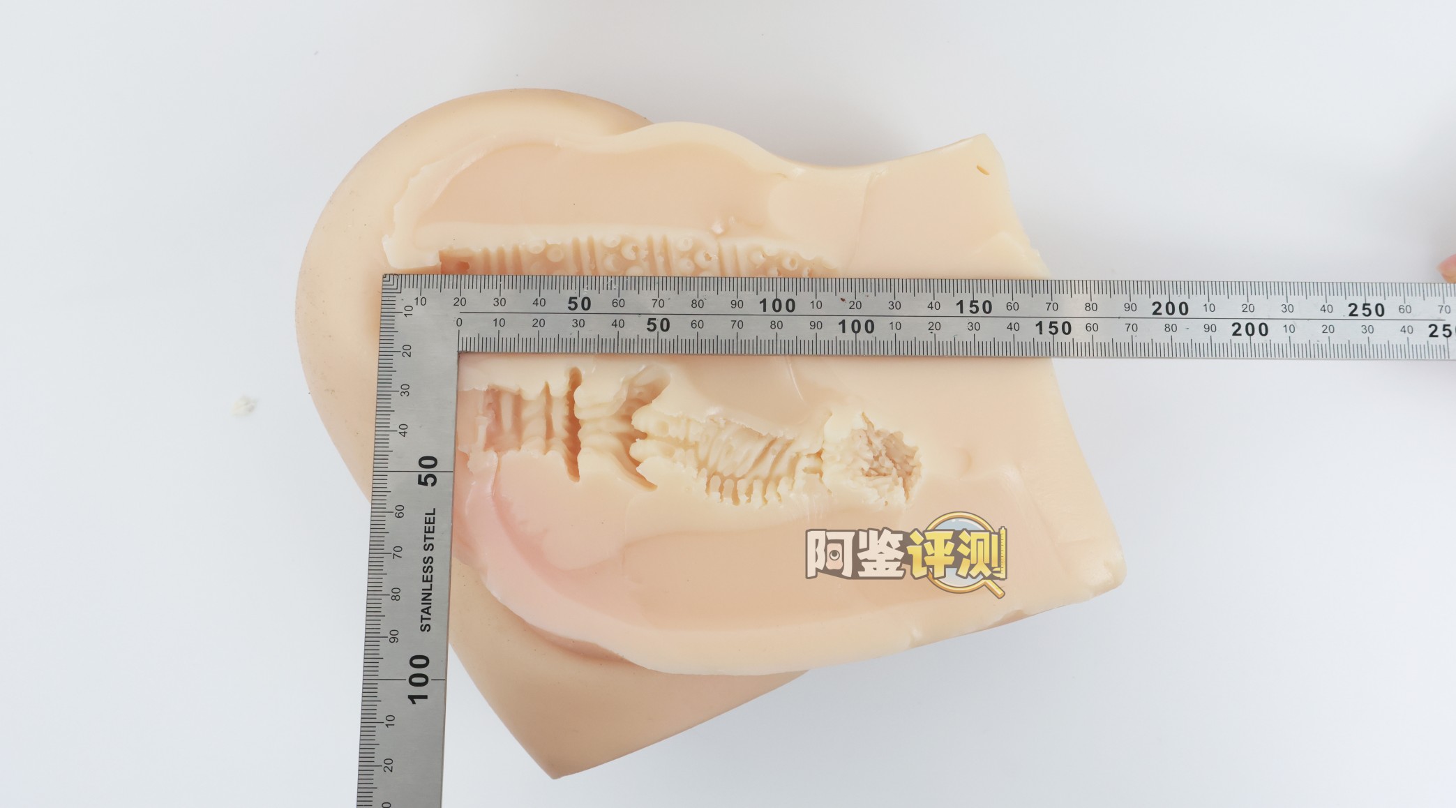 COC——“黄油小姐”评测！标准PP造型的软填充回弹臀模，会“弹”但是不软的小屁股