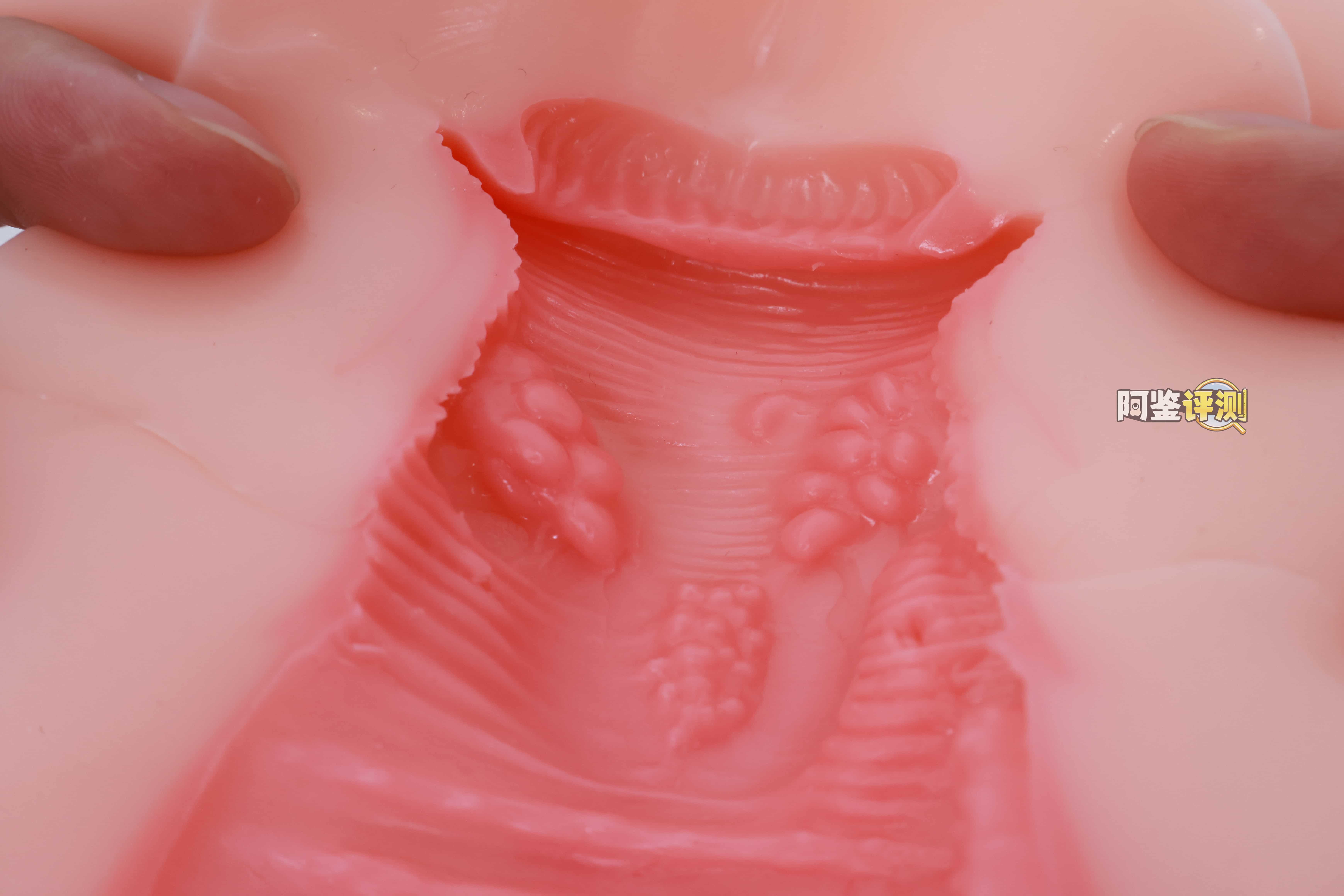 TMT——“樱川爱(礼盒版)”评测!防“查重”版水着琉璃子,继续加码的现代版“买椟还珠”型飞机杯