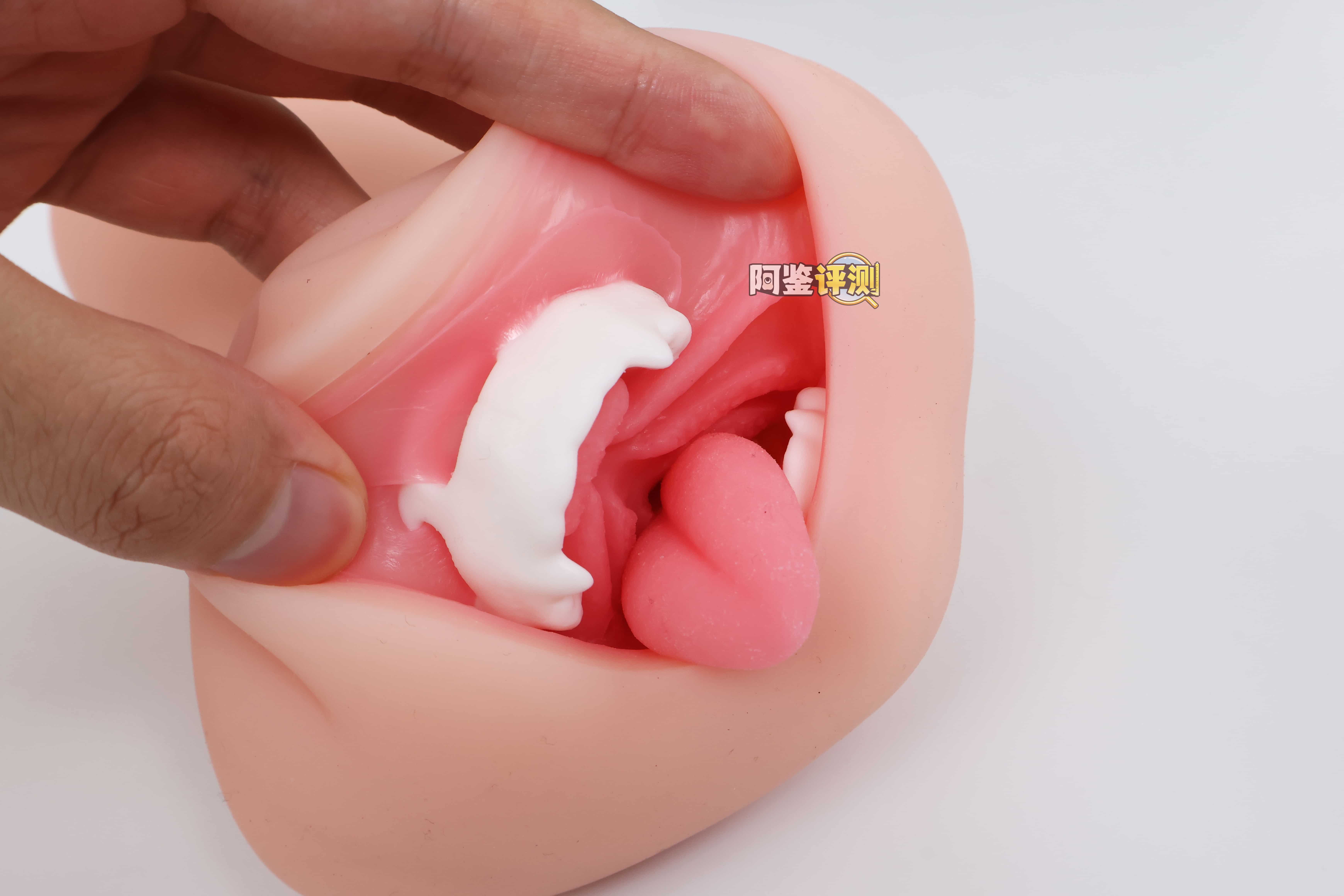 KAGUYANO——”诗多利”评测!非常“二次元画风”的口腔结构,但深处的简单结构并不实用