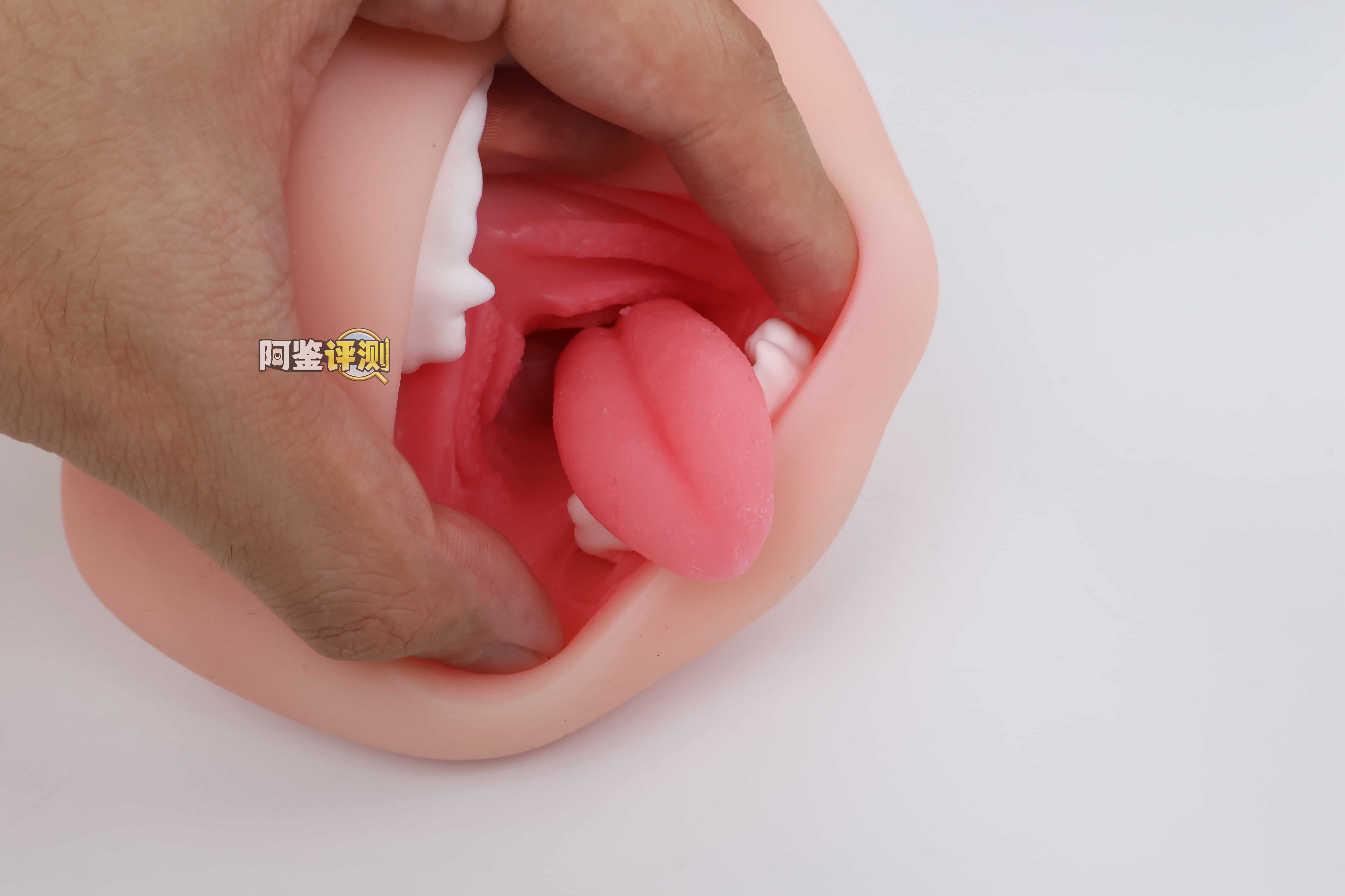 KAGUYANO——”诗多利”评测！非常“二次元画风”的口腔结构，但深处的简单结构并不实用