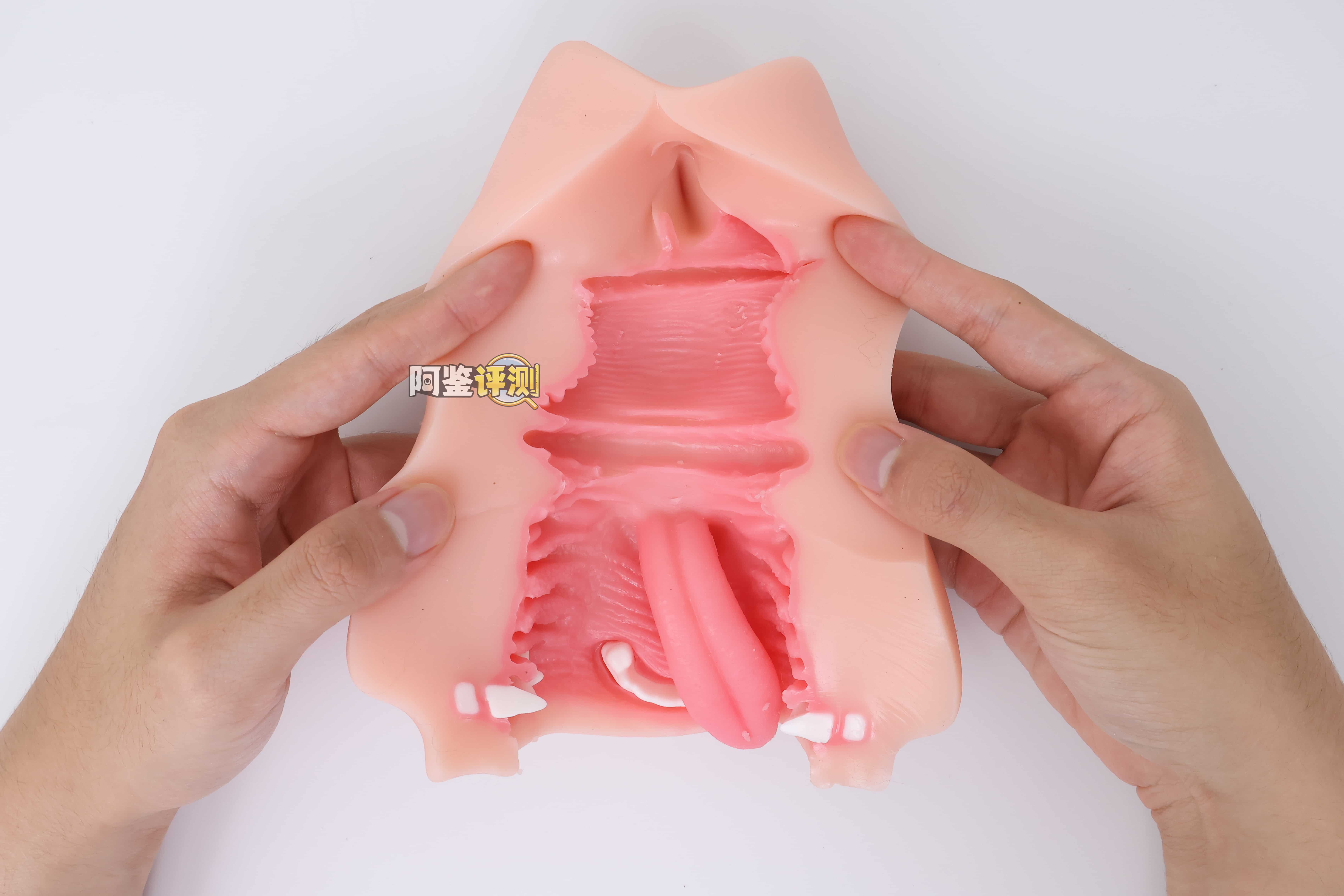 KAGUYANO——”诗多利”评测!非常“二次元画风”的口腔结构,但深处的简单结构并不实用