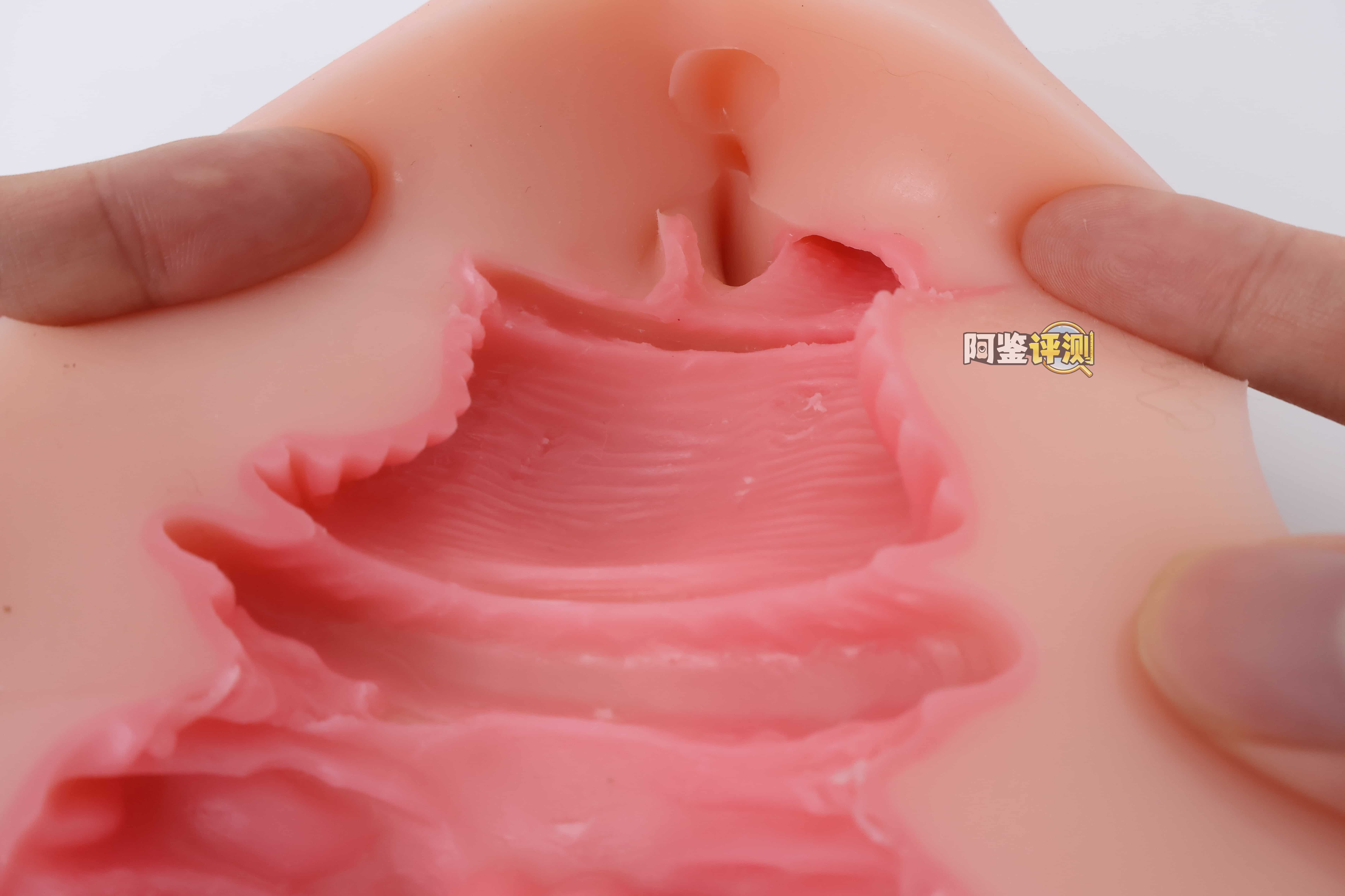 KAGUYANO——”诗多利”评测!非常“二次元画风”的口腔结构,但深处的简单结构并不实用