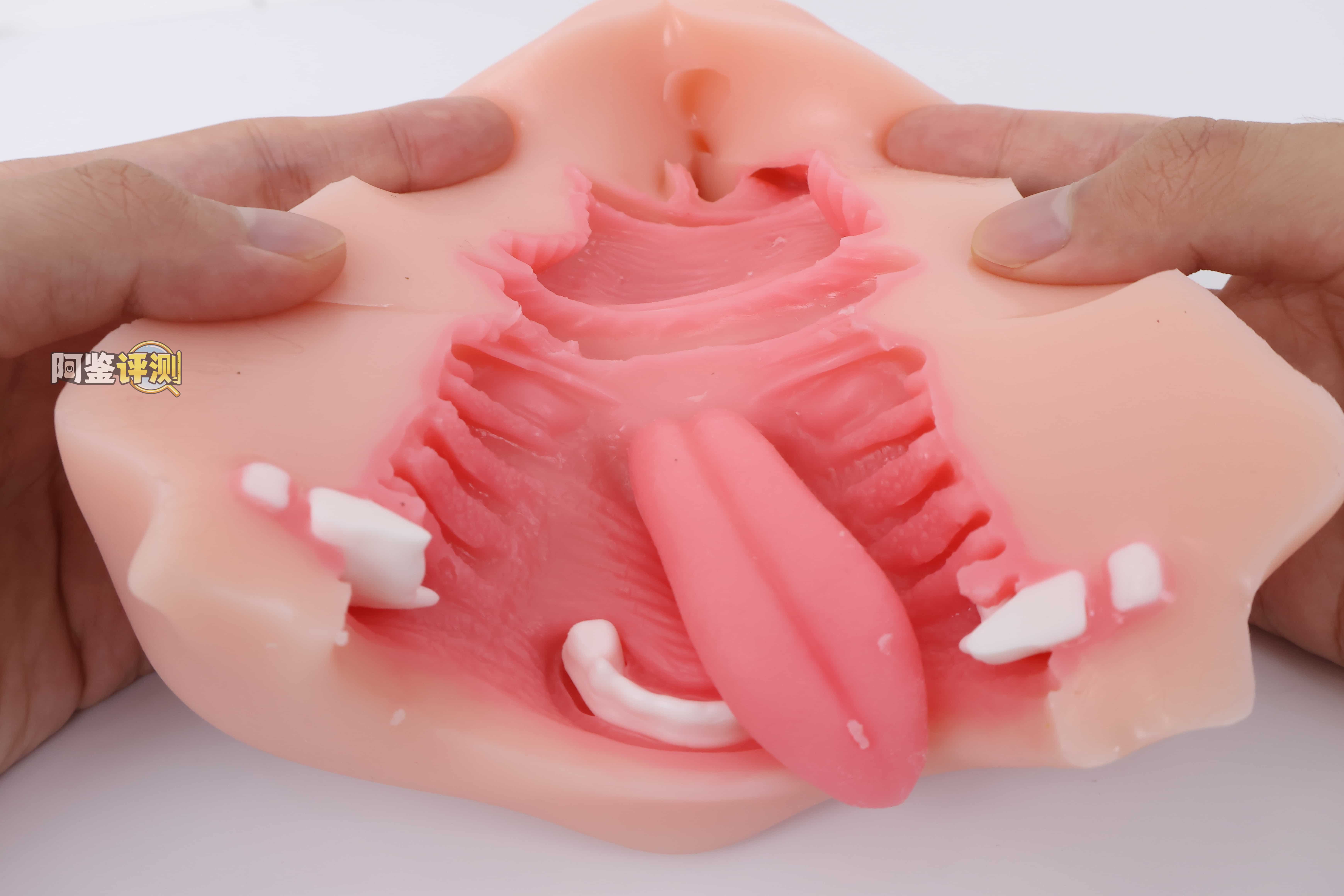 KAGUYANO——”诗多利”评测!非常“二次元画风”的口腔结构,但深处的简单结构并不实用