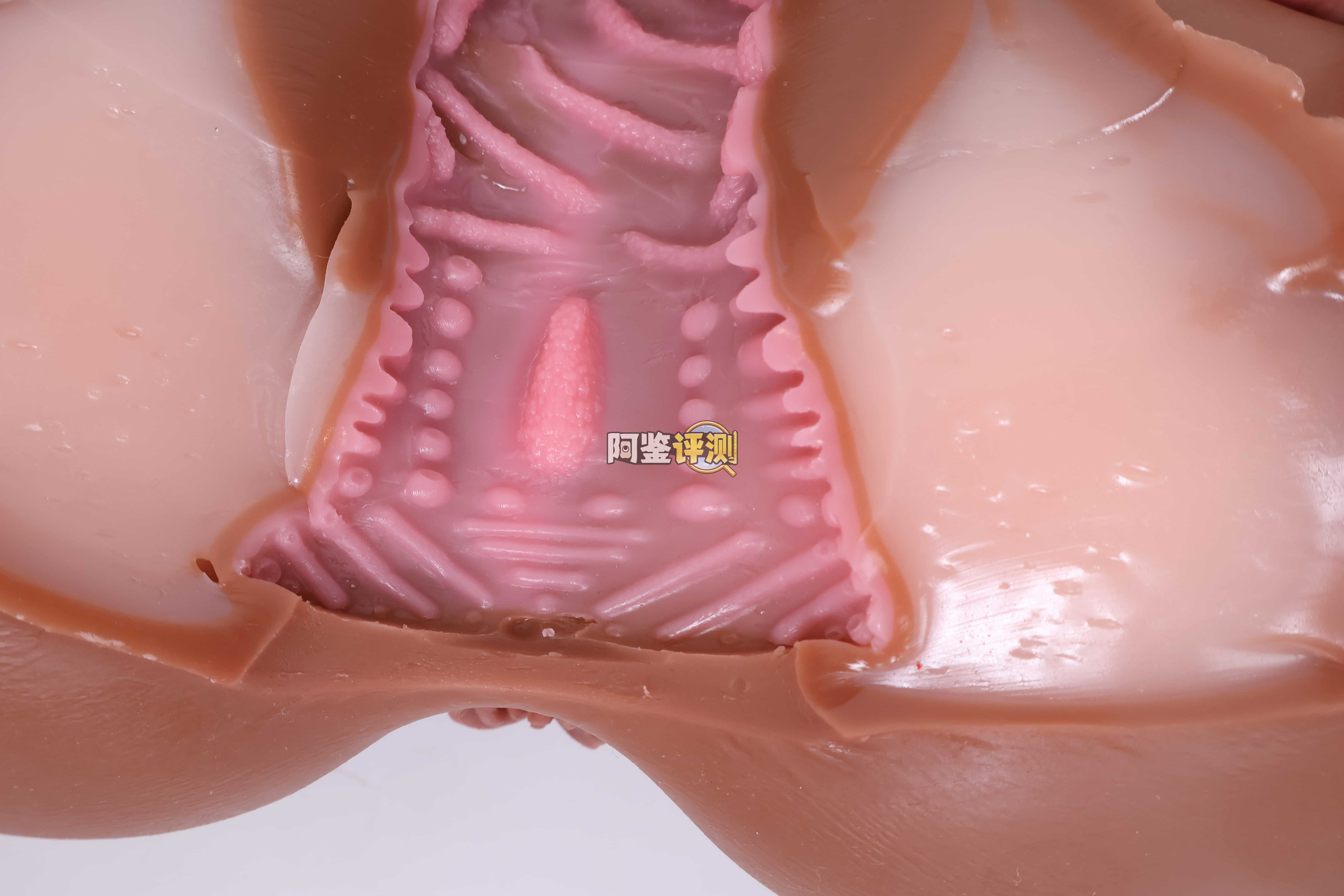 COC——"可可狼姬(软版)"评测!仅仅是臀部做了一点加软,就对整个玩具体验带来了不小的提升