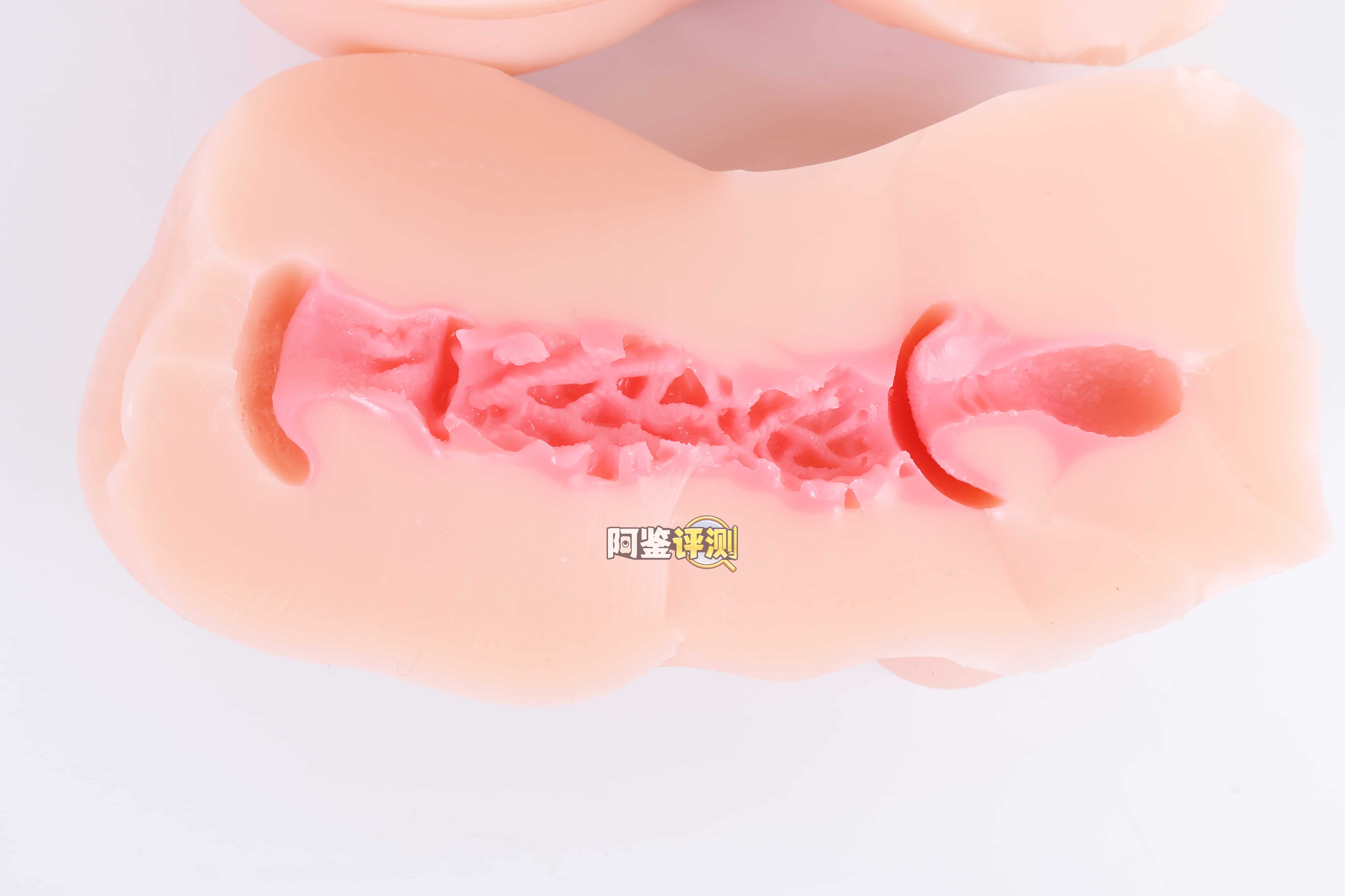 GOSE——”纯爱精灵”评测！普普通通的子宫设计，硬质毛茸茸的“充血结构”