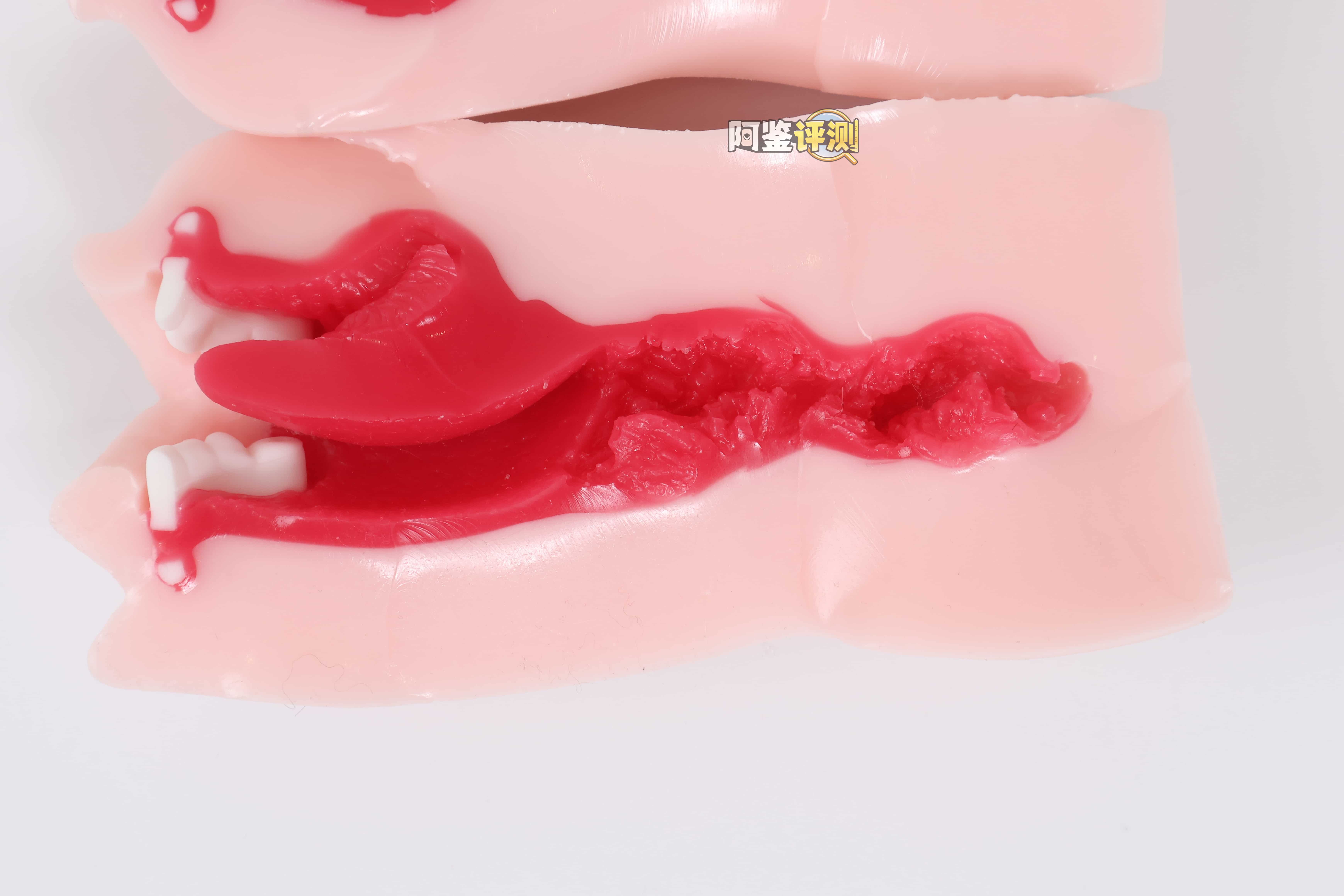魔眼——“真实之口极上浪漫主义soft”评测！真实感大崩塌！软得已经完全没有口的形状了